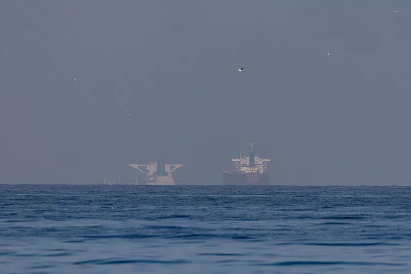 Shanghai Daily tweet media