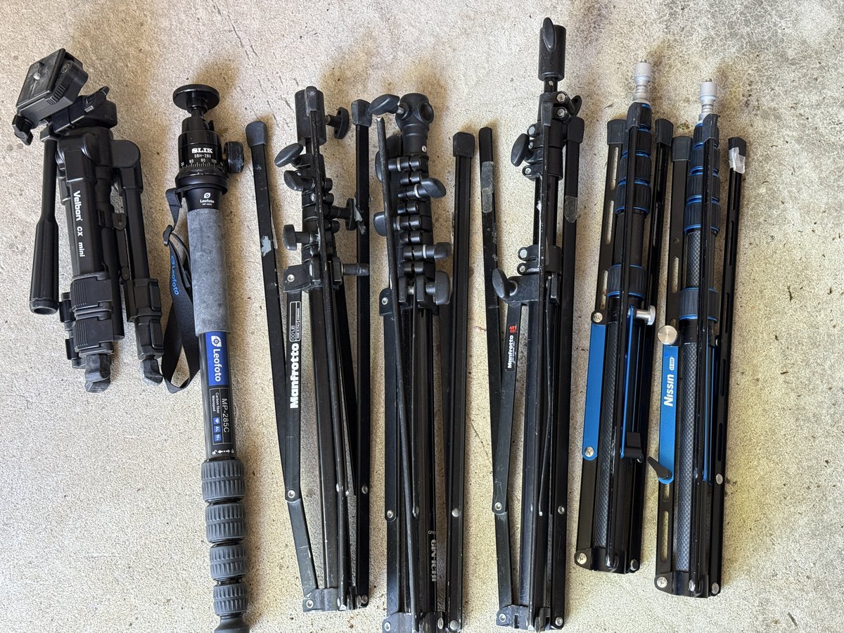 南極夏彦@次はコスホリ tweet media