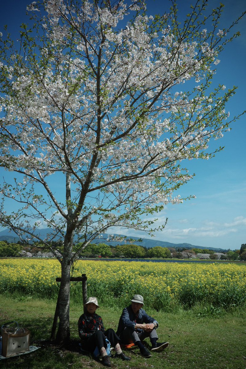 まぁふぃ🍆🌈 tweet media