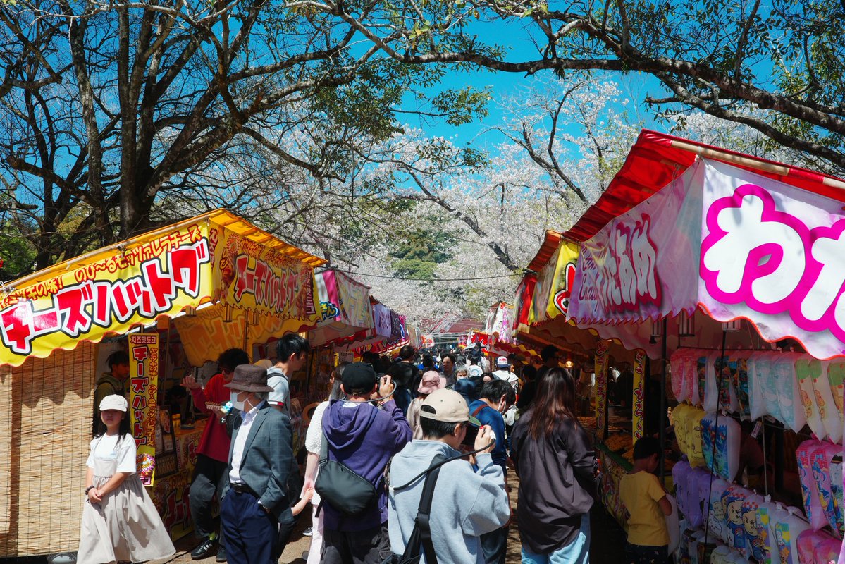 まぁふぃ🍆🌈 tweet media