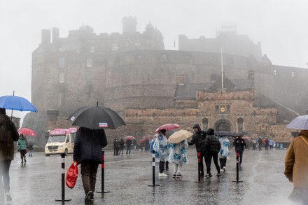 Stirling's Sahara wellies tweet media