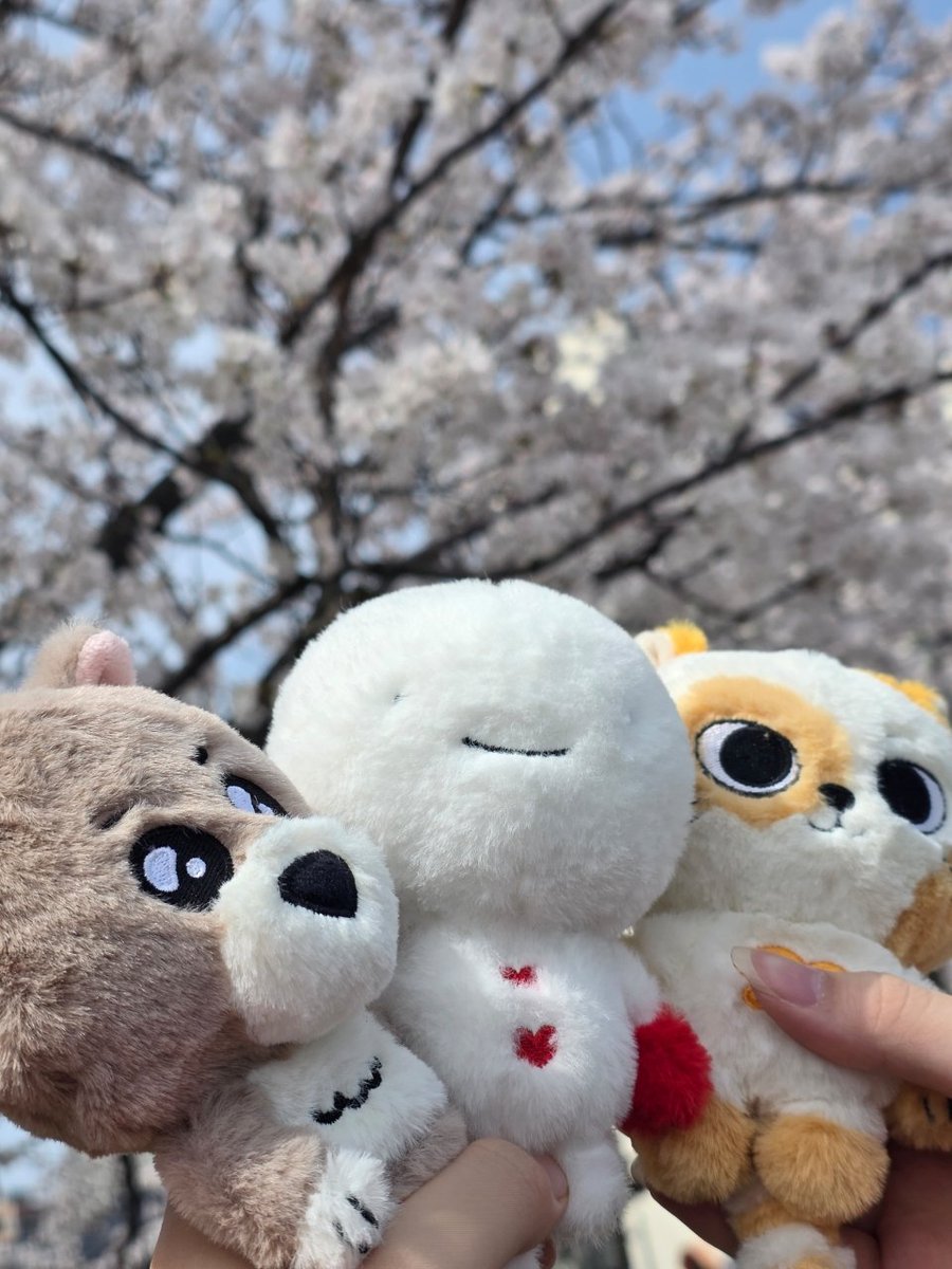 2026.04.06❀.*ﾟ  <a href="/lt_riesh/">しーだ</a> .⋆𝜗𝜚
