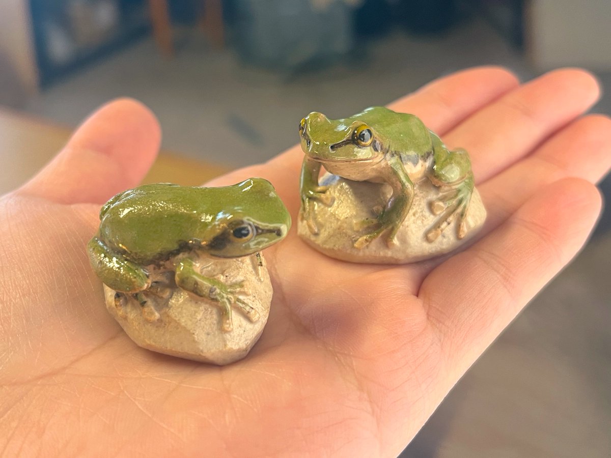 あこつ tweet media