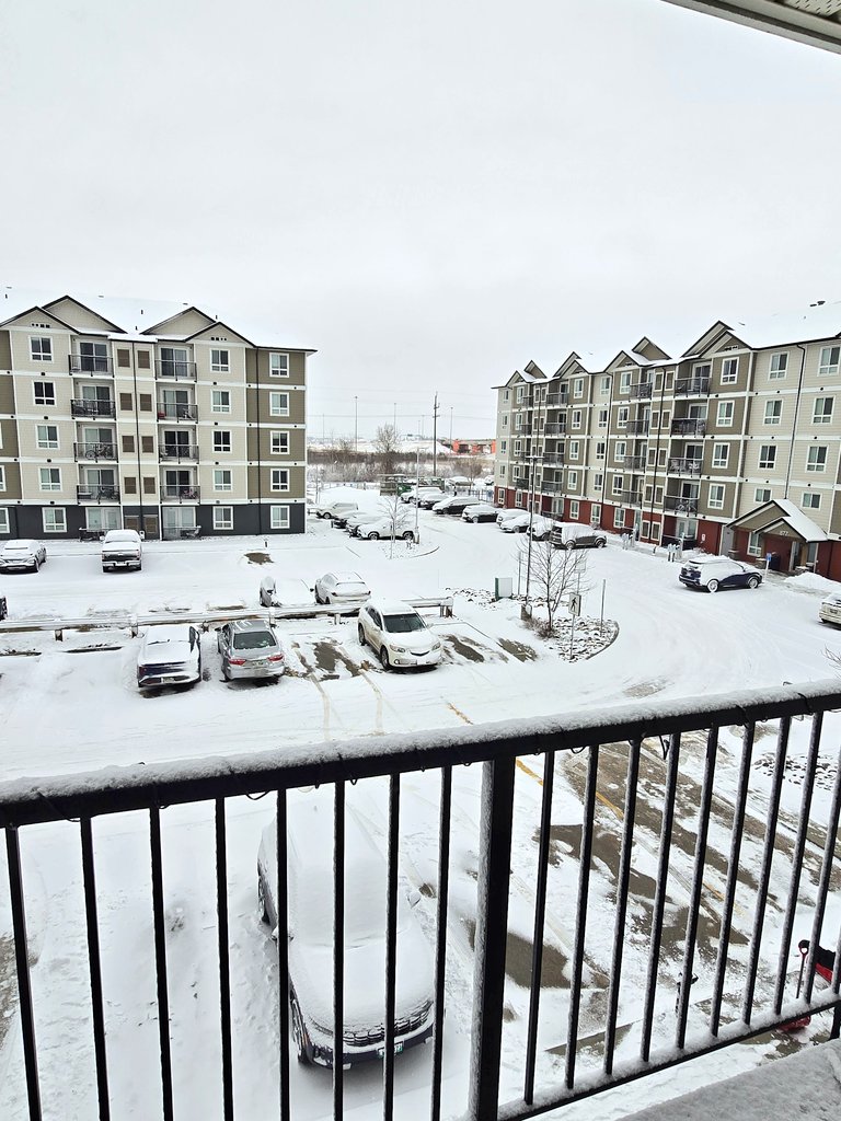 Winnipeg Daylight Tracker tweet media