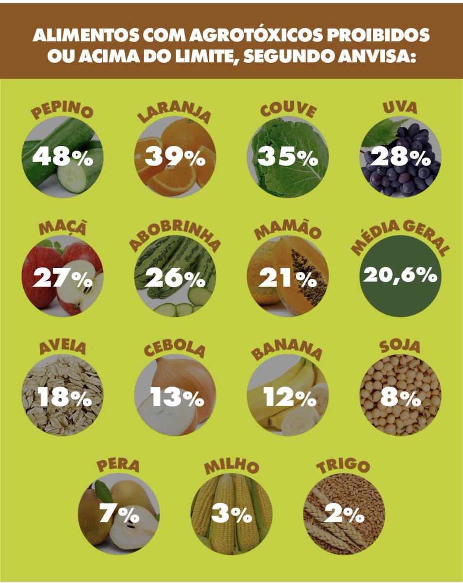Diogotapuio's tweet photo. De acordo com o Programa de Análise de Resíduos de Agrotóxicos em Alimentos (PARA/ANVISA, 2024), 48% dos pepinos e 39% das laranjas têm agrotóxicos proibidos ou acima do limite. Alimentos contaminados na mesa dos brasileiros de forma sistemática, uma agressão ao direito à saúde. Enquanto o agronegócio lucra, a população brasileira  paga um preço muito alto em doenças como câncer, doenças neurodegenerativas, infertilidade, ocorrência de abortos e malformações fetais. Por uma transição agroecológica urgente! Basta de Agrotóxicos!