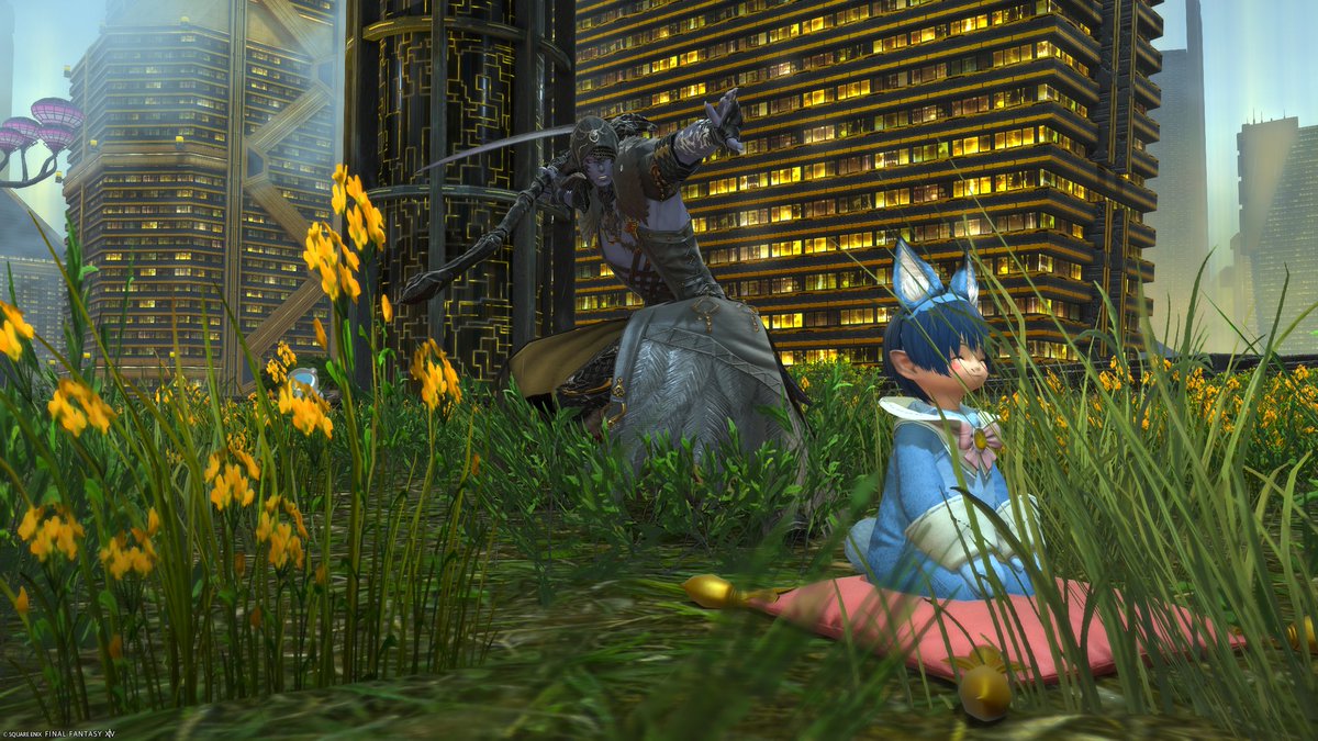 Gecko.C@FF14 Aegis鯖 tweet media