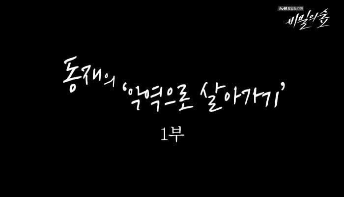 빤... tweet media