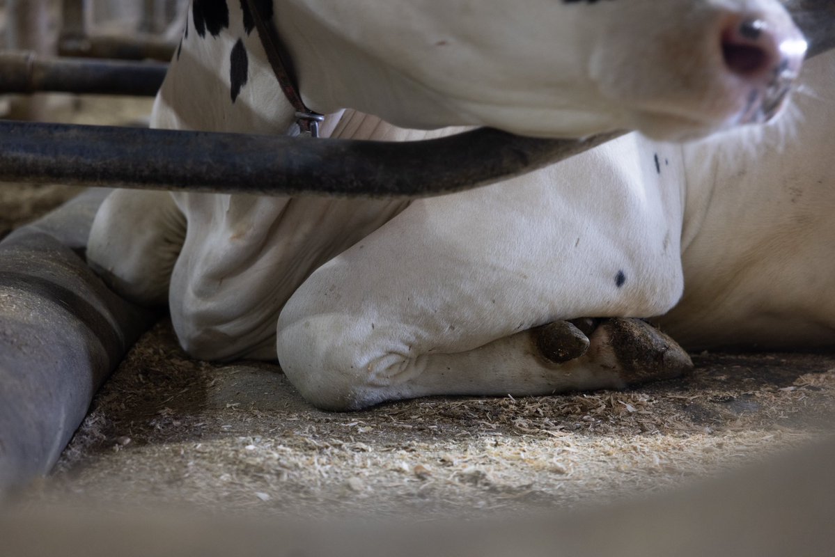 Bioret Agri tweet media