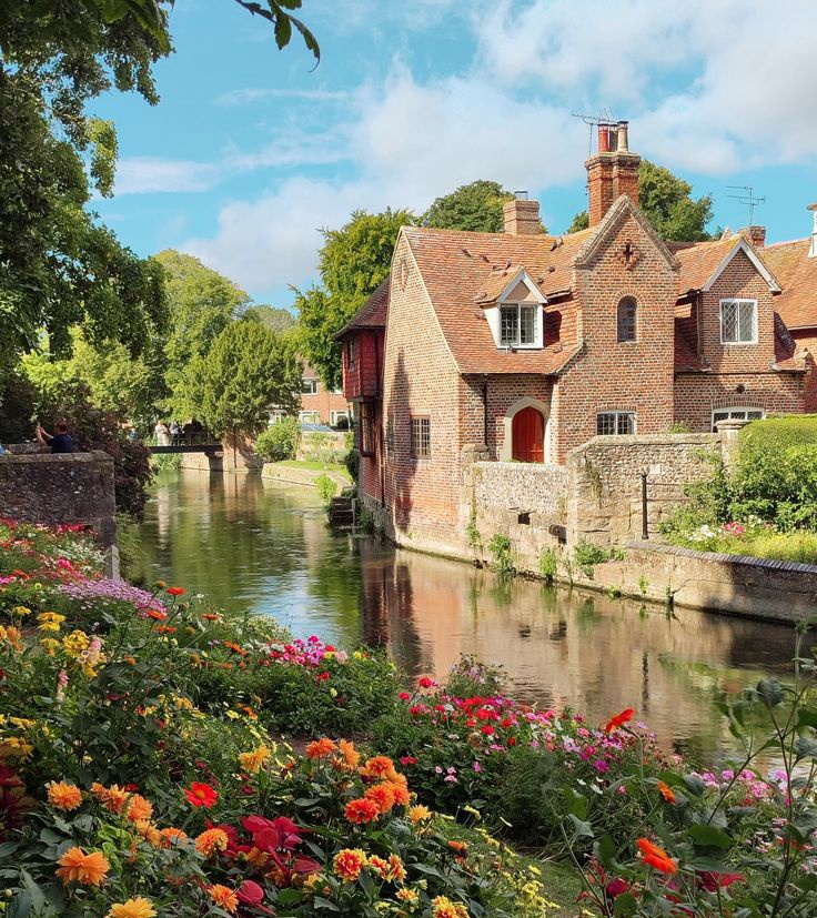 WORLD VIEW tweet media