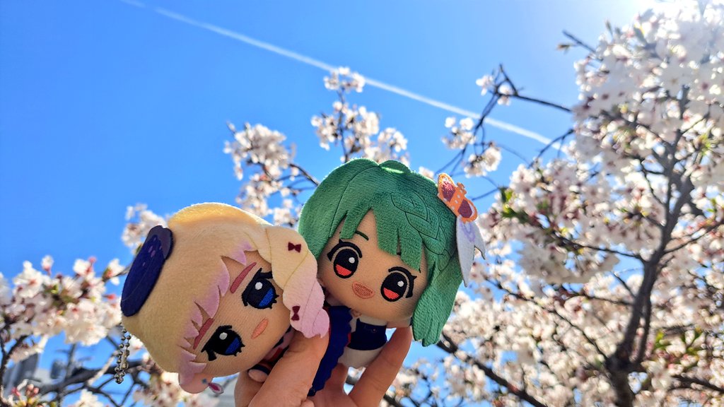 たけちゃん tweet media