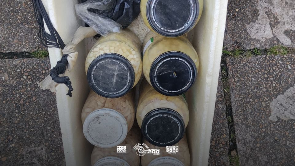 Polícia Militar do Estado de São Paulo tweet media