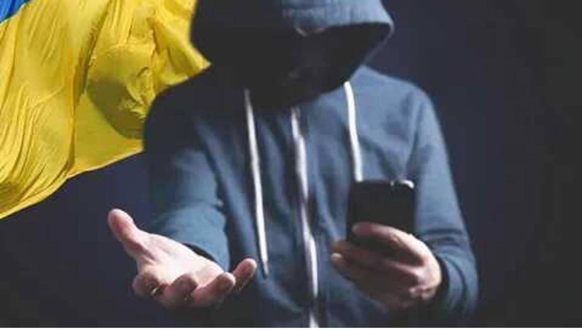 Alina Lipp tweet media