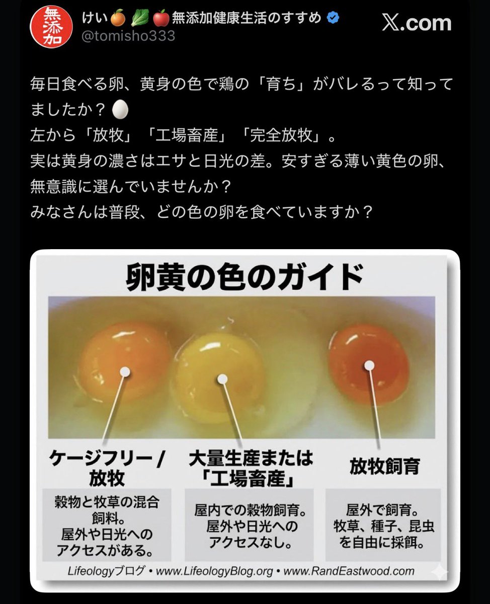 SITO.(シト) tweet media