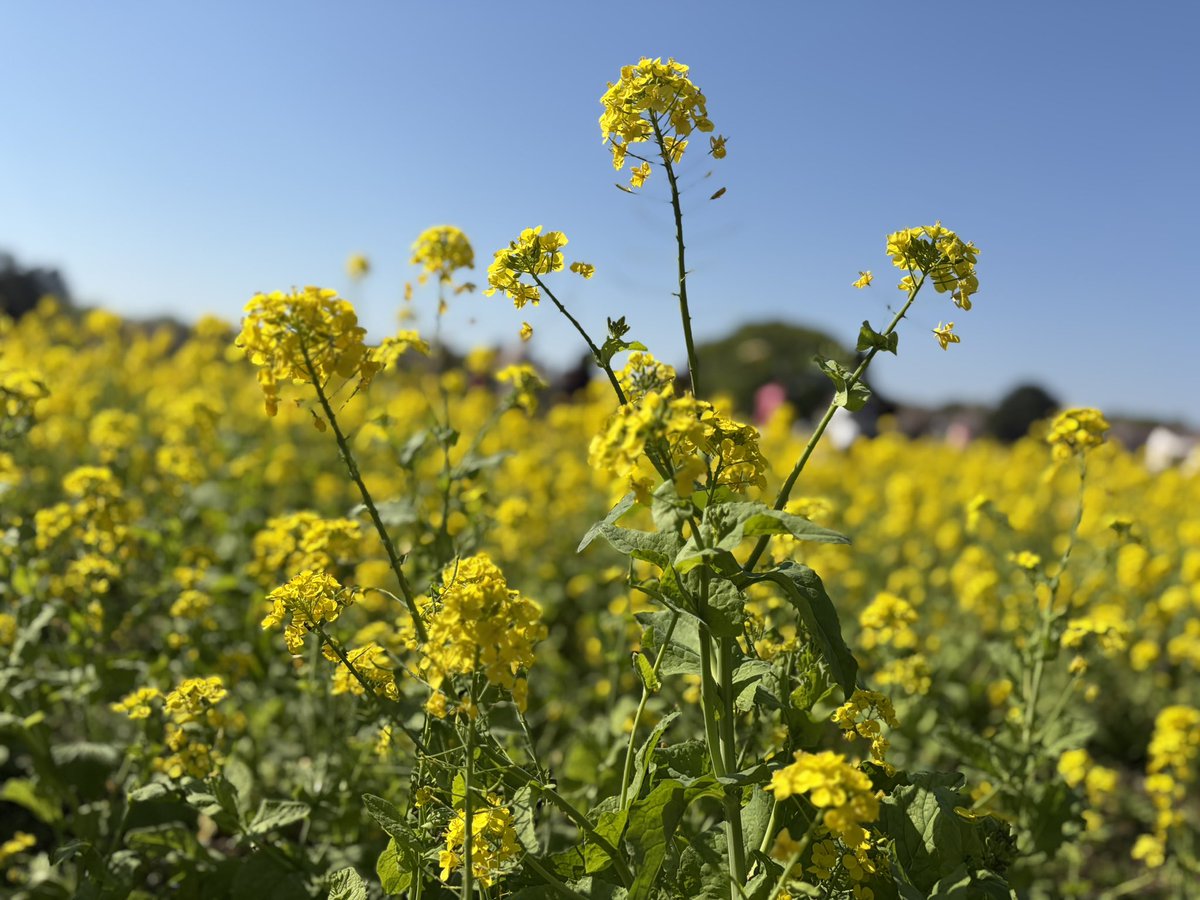 たかと tweet media