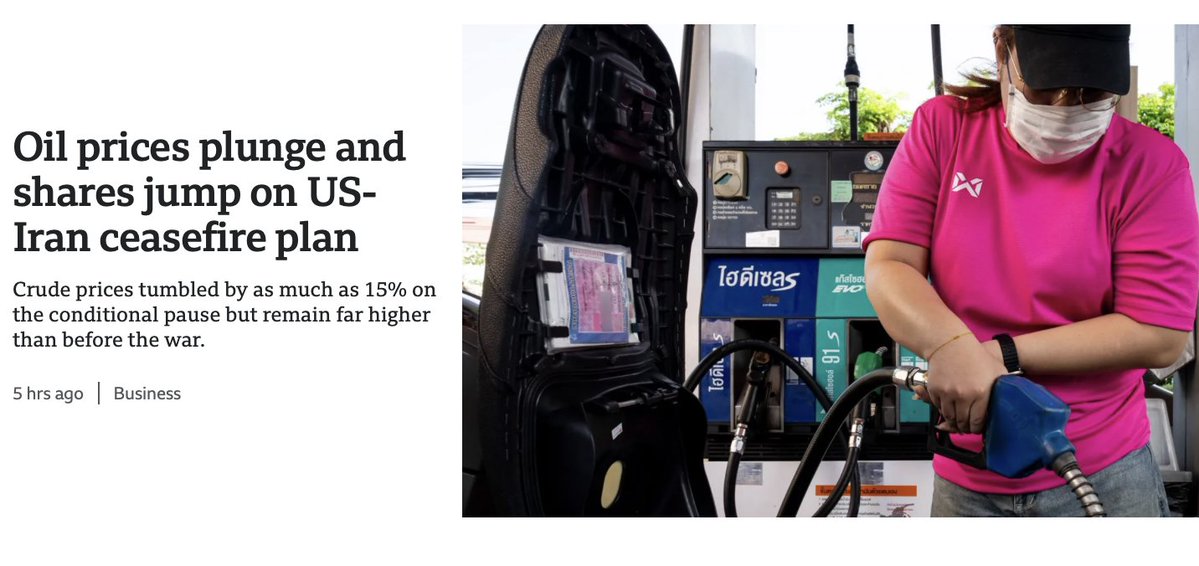 Lobo Tiggre tweet media