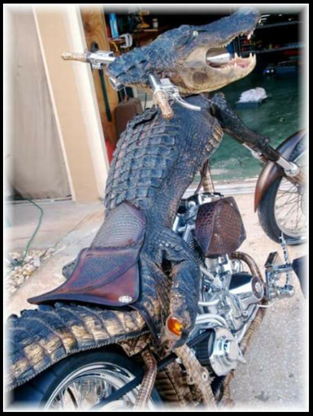 Ironhead841 tweet media