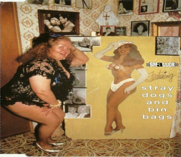 vagonalt's tweet photo. 30 years ago today on April 8 in 1996, Smaller released the single Stray Dogs And Binbags. #elvagonalternativo #smaller https://t.co/yj04MmsGIk