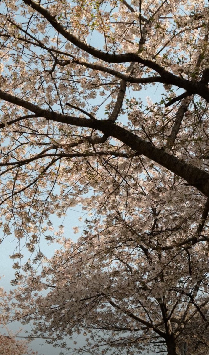 MY BABY ROBOT🤖 tweet media