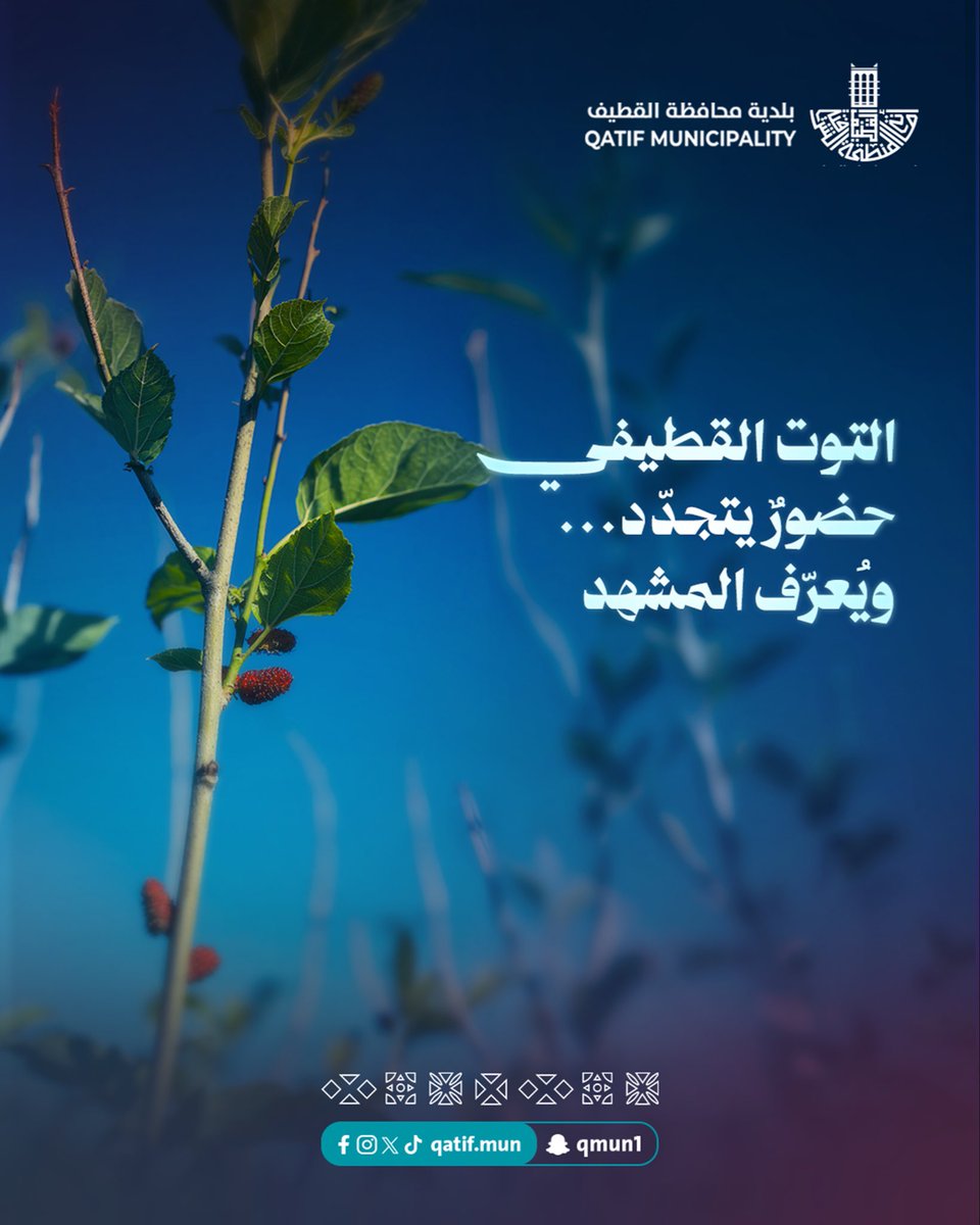 بلدية محافظة القطيف tweet media