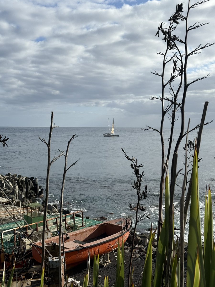 Piquer's tweet image. Great to see the Amundsen return to Tristan today. The community welcomes the crew ashore for some well deserved land time! #TristandaCunha #yacht #ocean