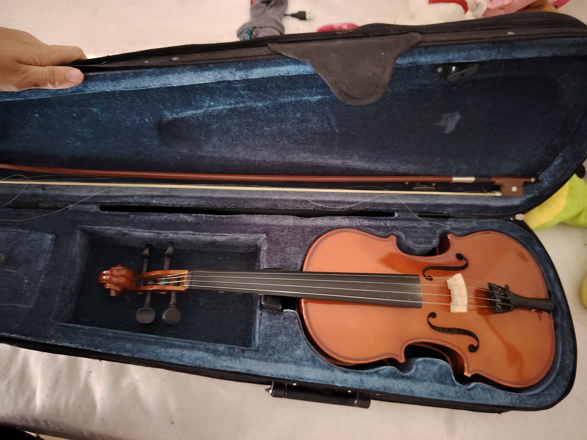 fenalık geldi tweet media