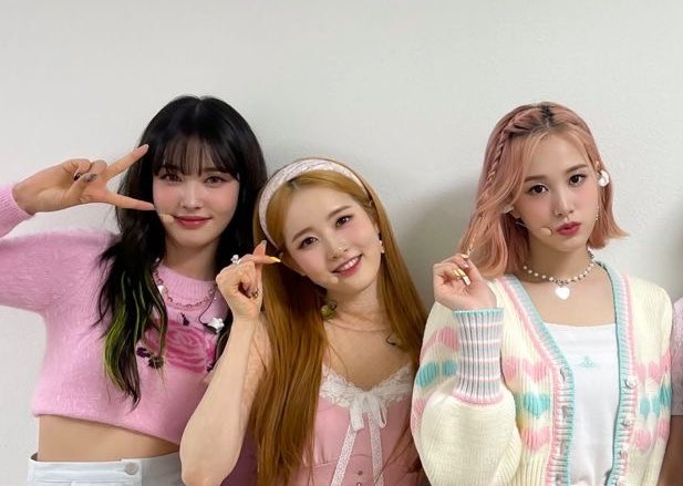 비니 tweet media