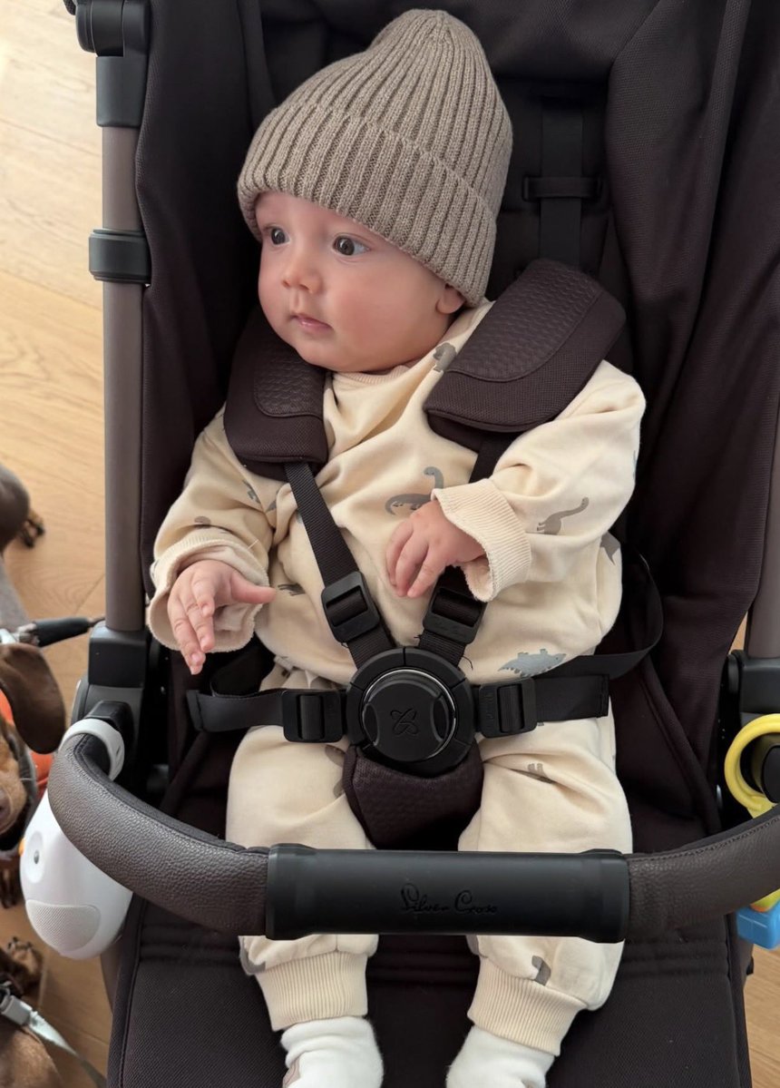 acervo arrasca tweet media