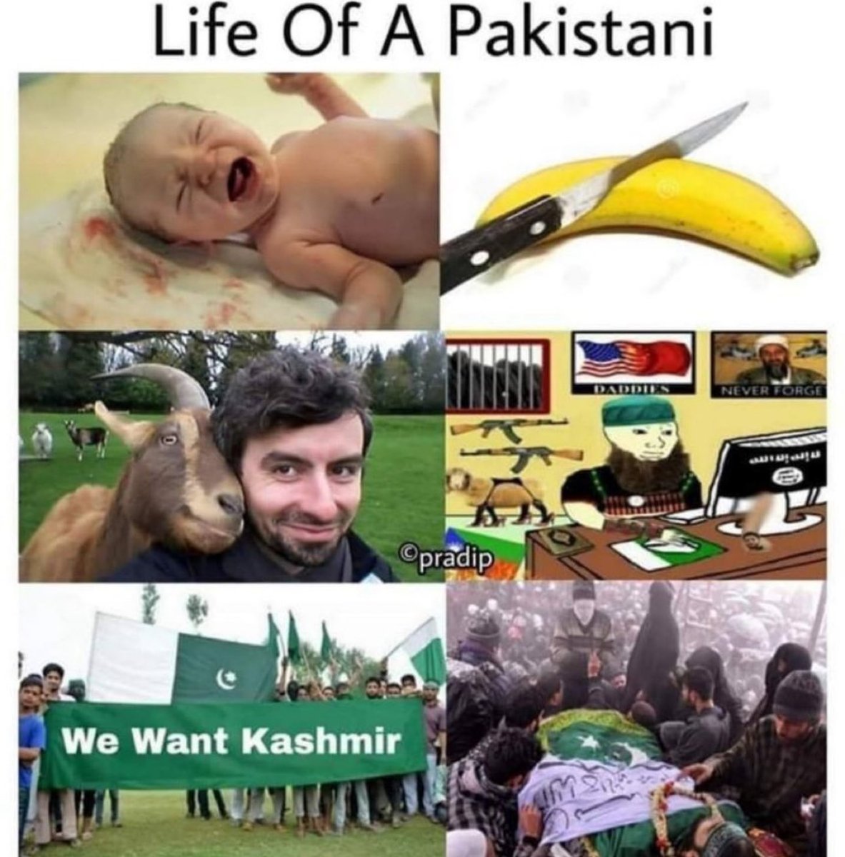 JM🇮🇳 tweet media