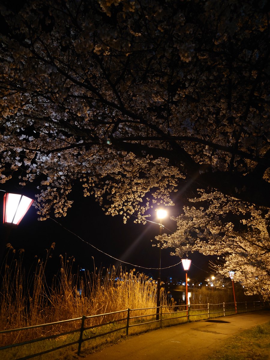 ユウキチ tweet media