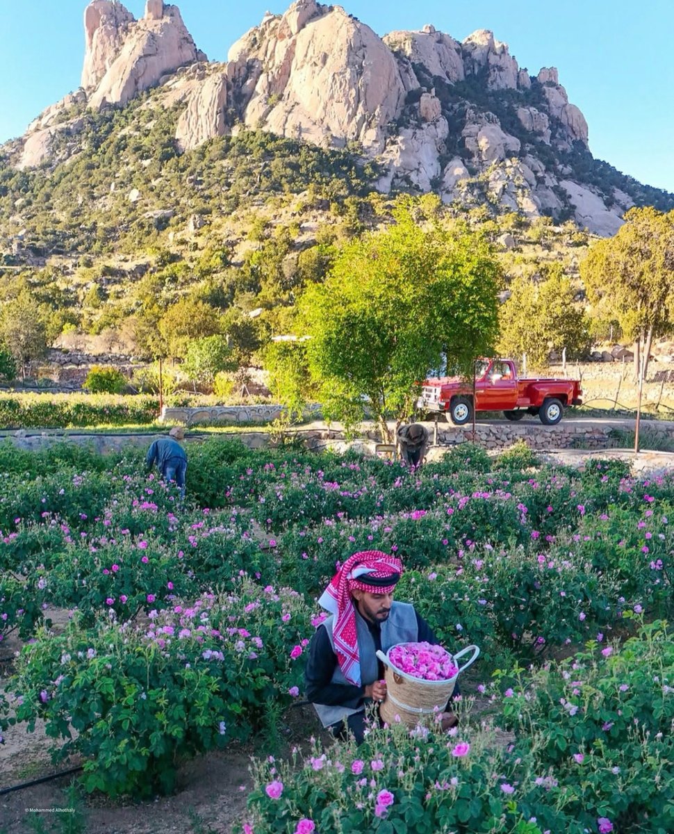 Welcome Saudi tweet media