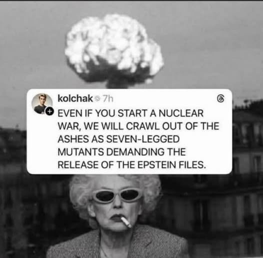 🤣🤣