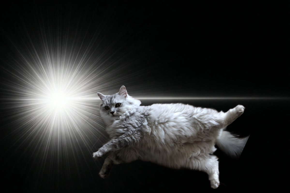 天下無敵丸🌊 tweet media