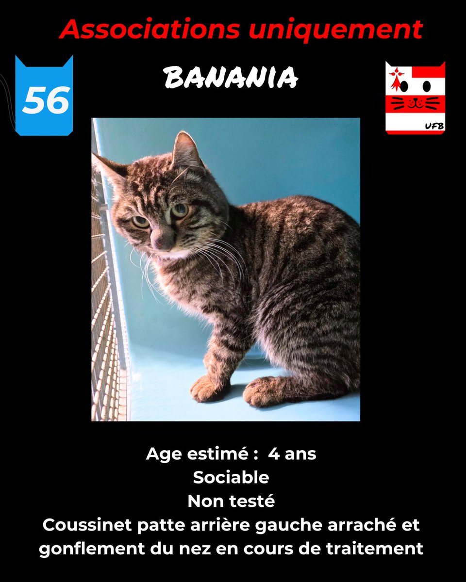 justine44 tweet media