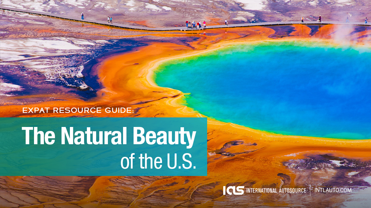 International AutoSource tweet media