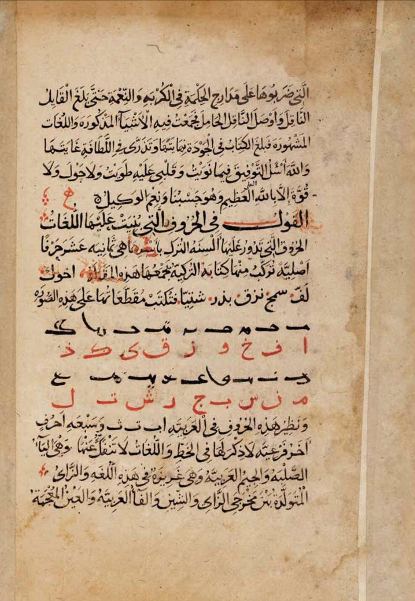 Beste Gülen tweet media