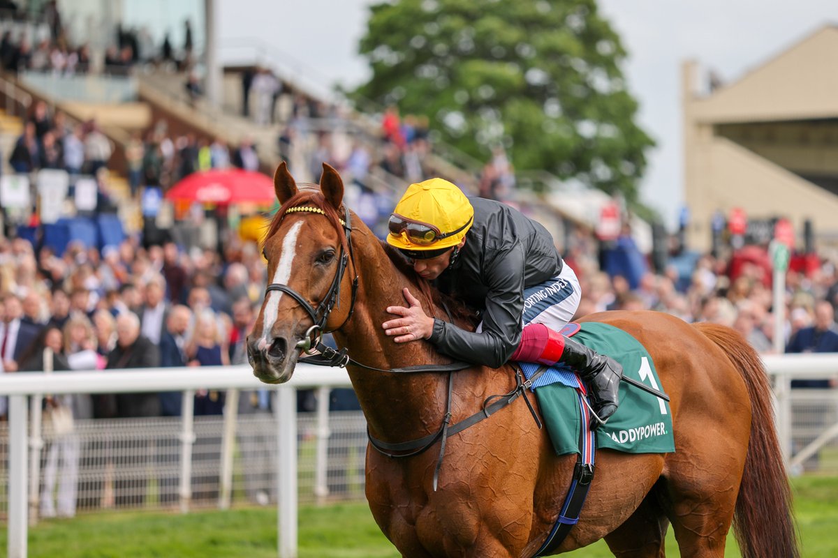 StablesideYork tweet media