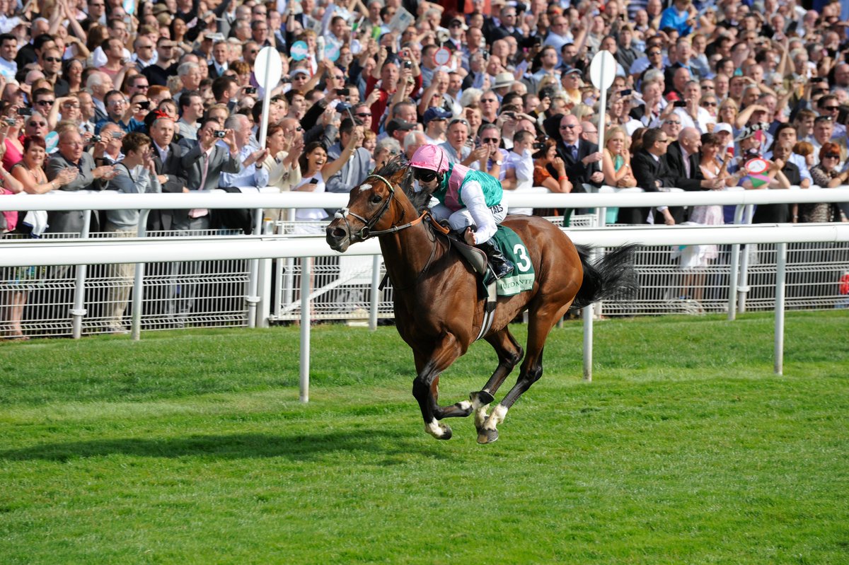 StablesideYork tweet media