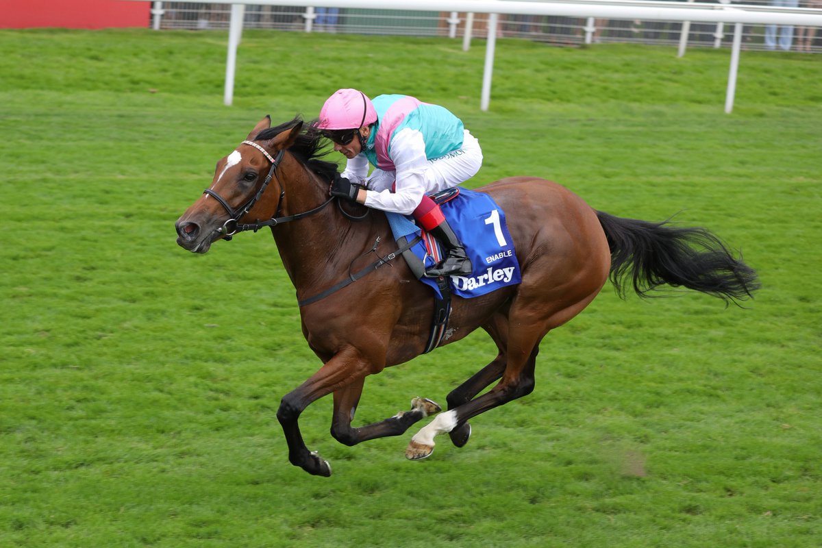 StablesideYork tweet media