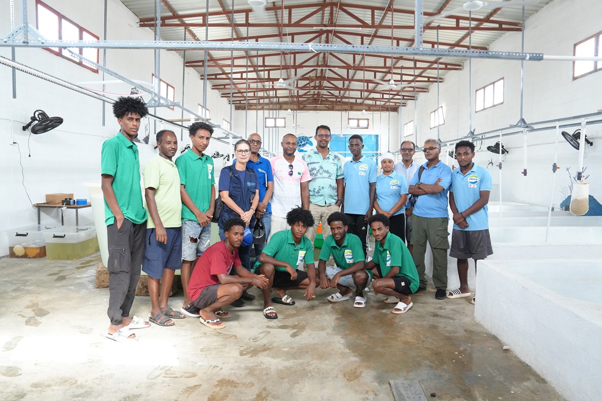 FAO Eritrea tweet media