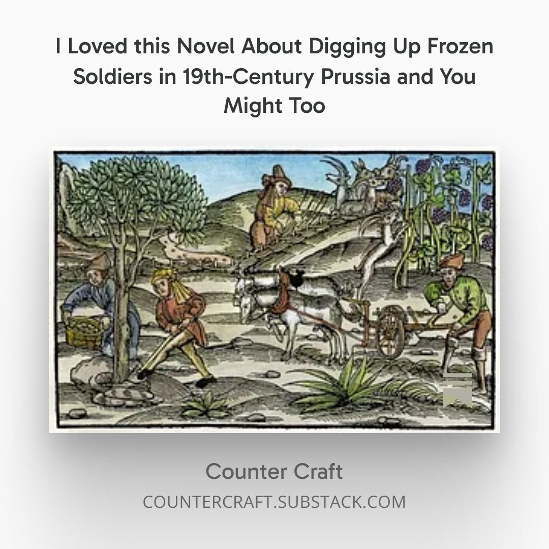 TheLincoln's tweet photo. I wrote about the bad state of book reviews… and reviewed a great new book in translation from Spain https://t.co/djLaxSWYNg @bellevuepress https://t.co/BNxaX1Ojoh