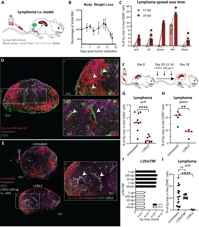 Journal of Experimental & Clinical Cancer Research tweet media