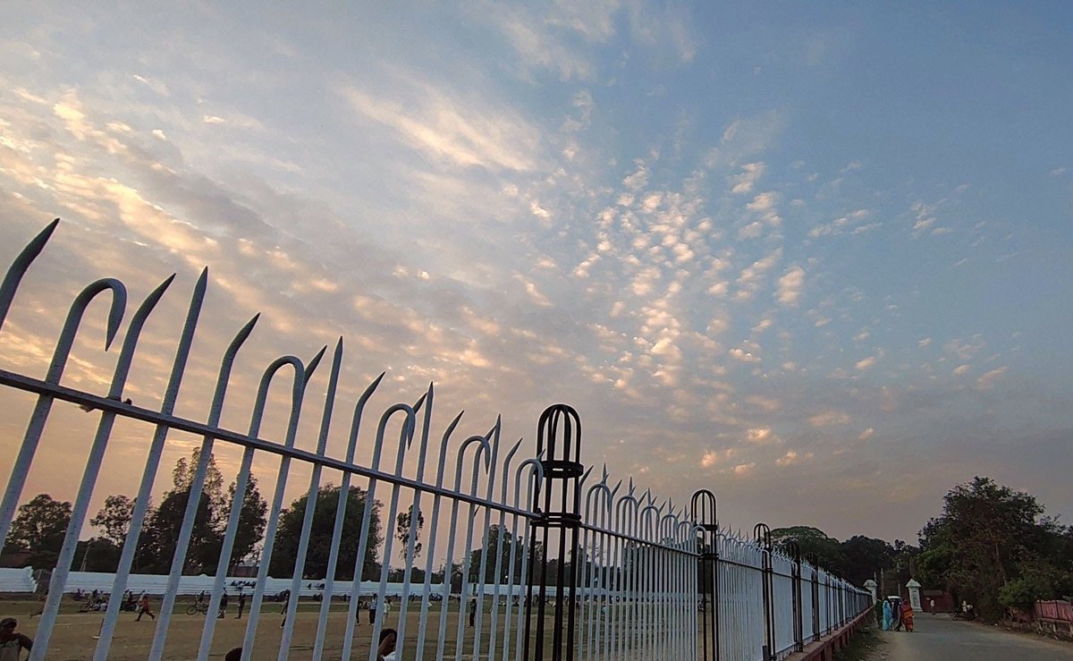 Lemon 🍋 tweet media