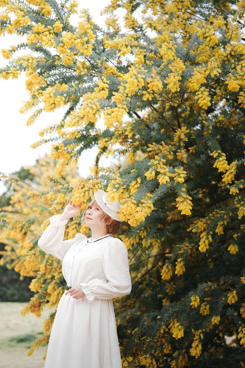 リョウカ tweet media