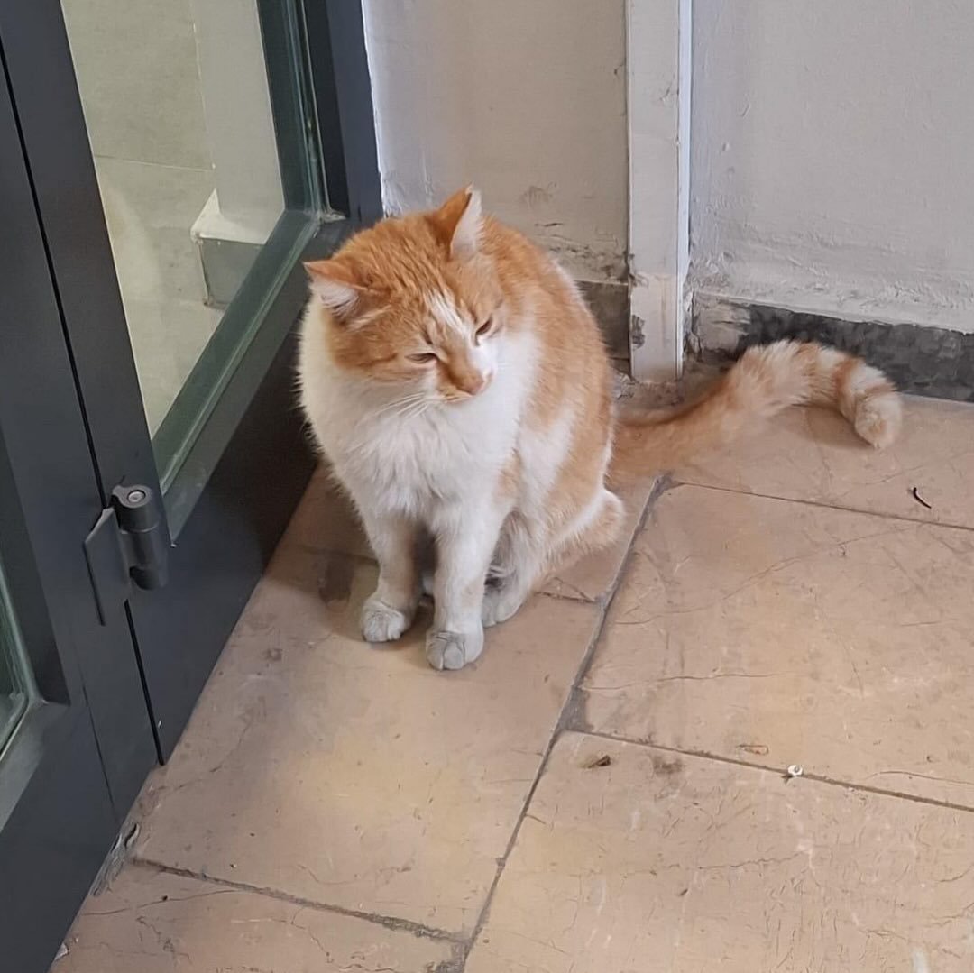 Zülal Kutluer tweet media