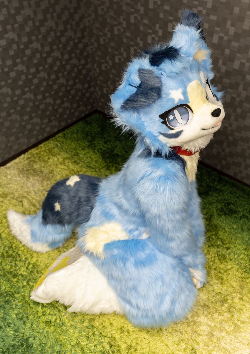 きこ(🦁🍍ろあ🐈のる🐕りぶベン) 🃏ひぃろ tweet media