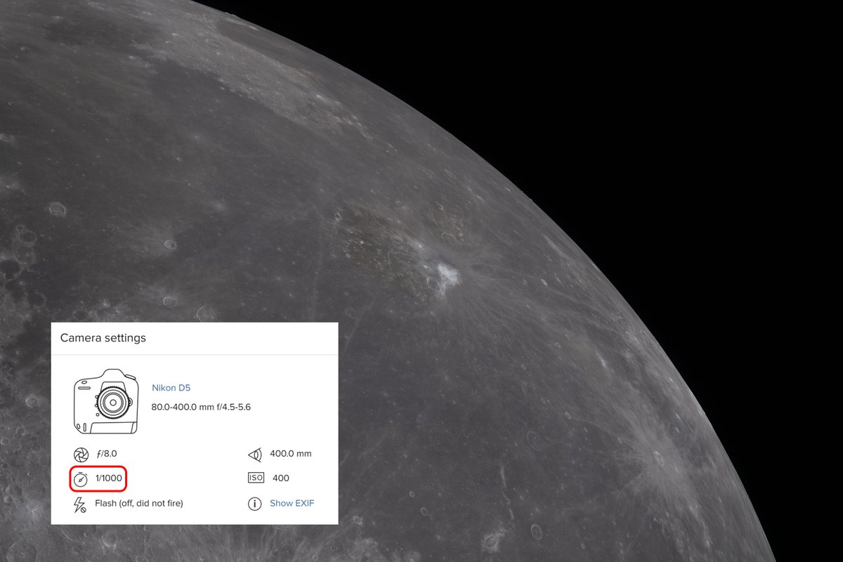 Stefan Burns tweet media