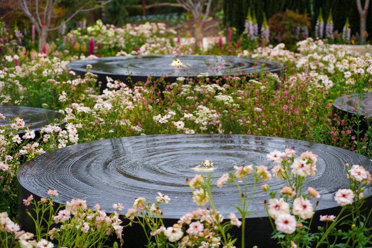 NiluferDanis's tweet photo. We’re thrilled! 🌿 Ripples of Tranquillity has won Gold &amp; Best Garden Design awards at the Suzhou Flower Show, China! ✨

A serene blend of historic garden language &amp; sustainable design. 

🌱 Permanent in the park after May!

#SuzhouFlowerShow #GardenDesign #LandscapeArchitecture https://t.co/1QNC46e059