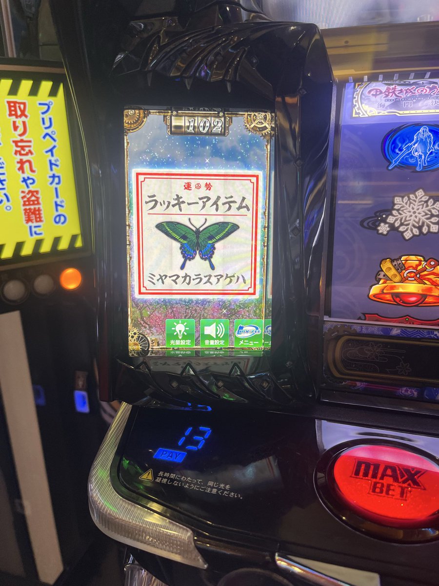 ぬーすけ。 tweet media