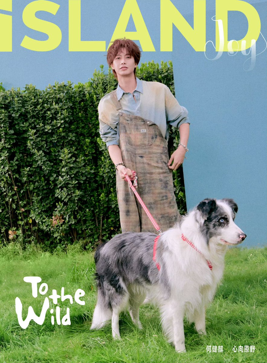 あみはは tweet media