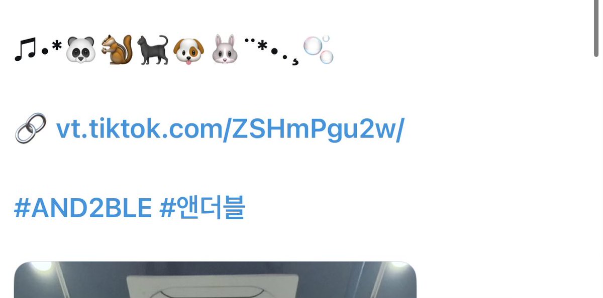 ｱｼｪﾗ tweet media